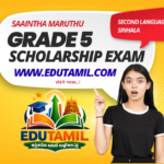 Grade 5 Scholarship