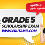 Grade 5 Scholarship exam